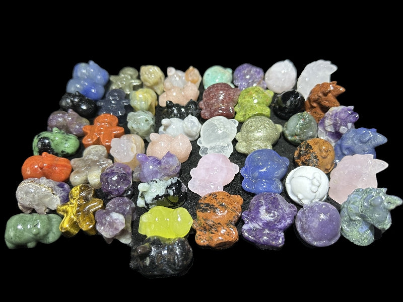 lauren cxxxxxxz 08-10