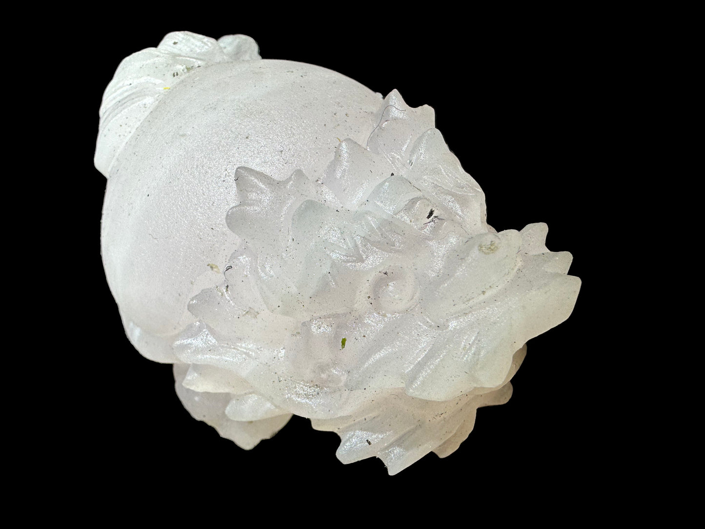 Elaina pxxxa sassy 12-22