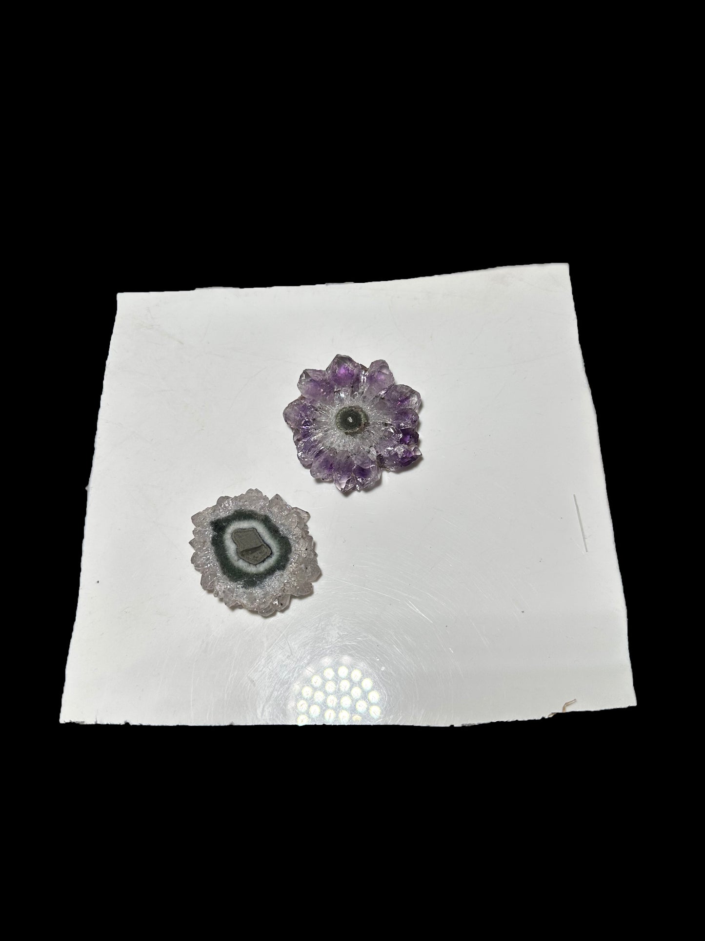 Steph Tesch 12-3 2025