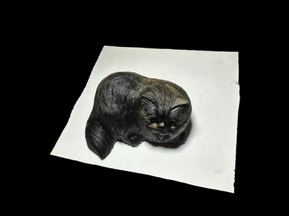 Casey Simon 12-3 2025