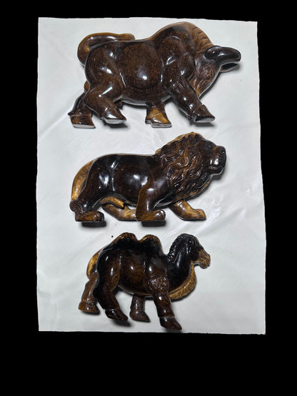 Casey Lepisto  5-23
