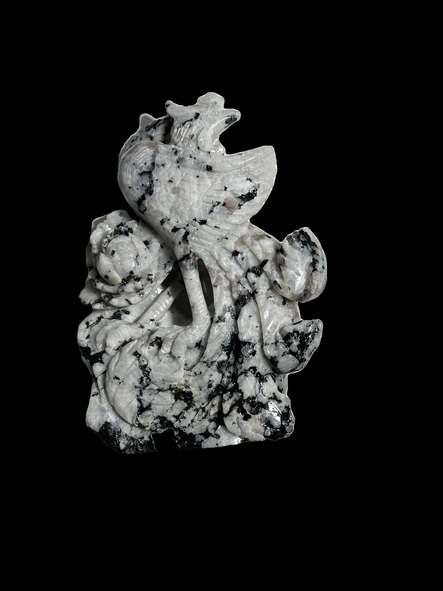 Casey Simon 12-3 2025