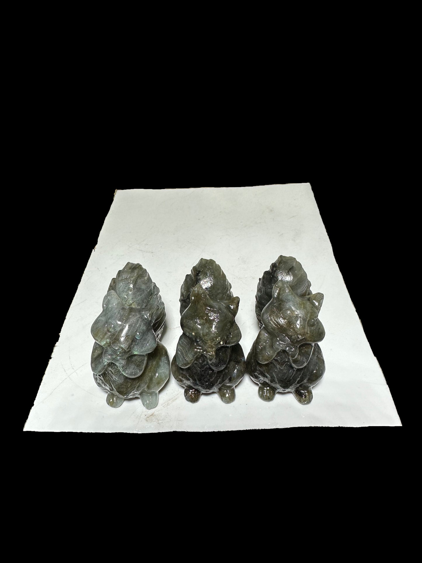 Casey Simon 12-3 2025