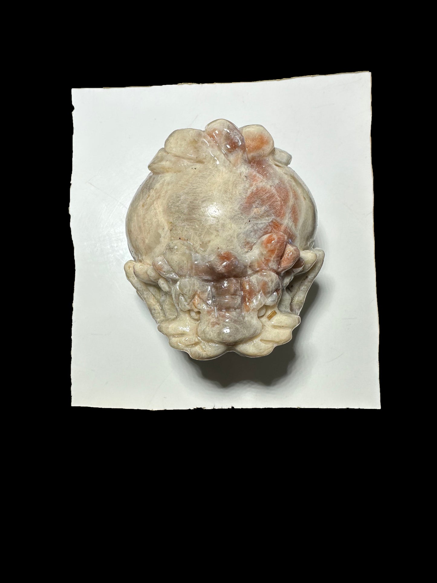 Casey Simon 12-3 2025