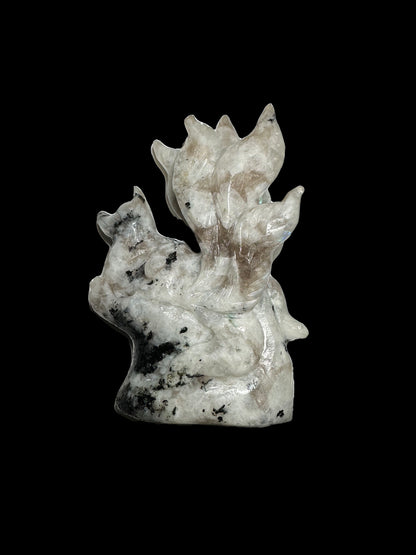 Casey Simon 12-3 2025