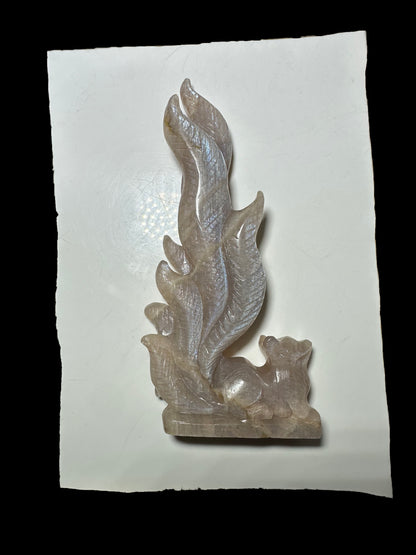 Casey Simon 12-3 2025