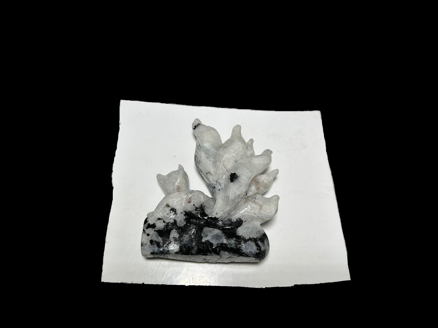 Casey Simon 12-3 2025