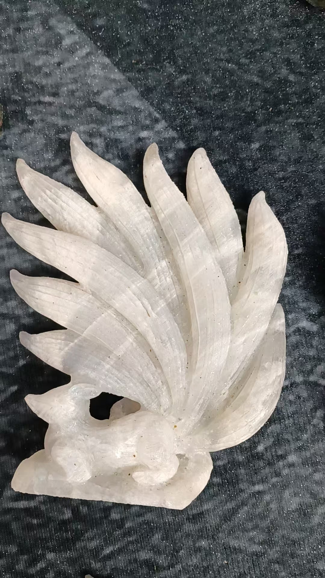 Casey Simon 12-3 2025