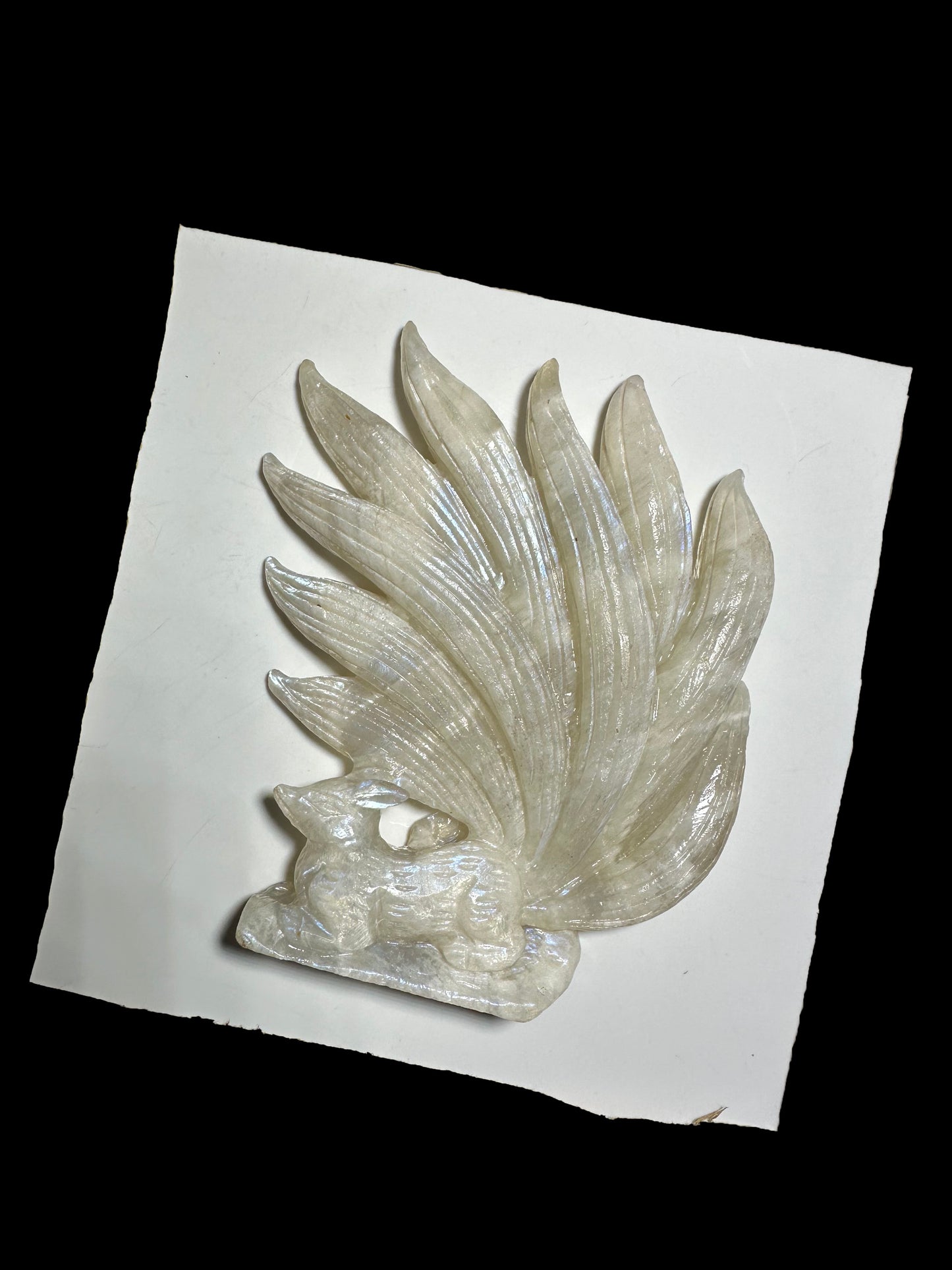 Casey Simon 12-3 2025