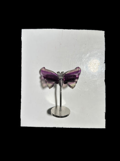 Lisa Bernstein  10-18 2025 lilibb