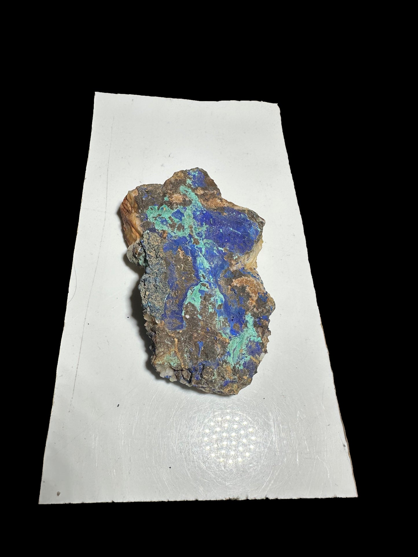 Lisa Bernstein  10-18 2025 lilibb