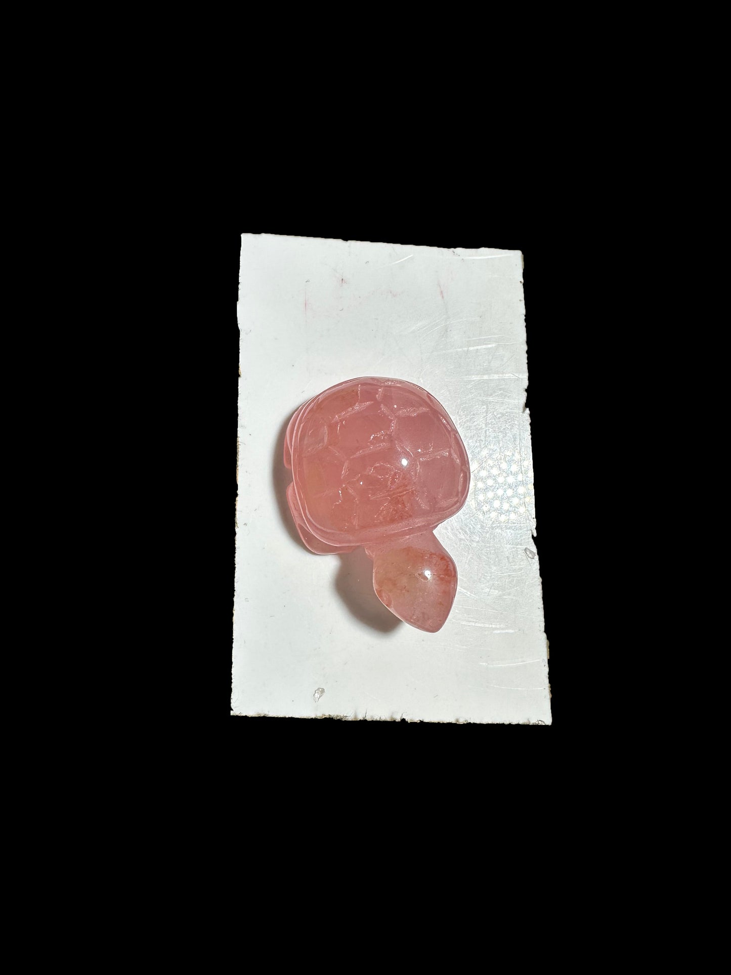 Lisa Bernstein  10-18 2025 lilibb