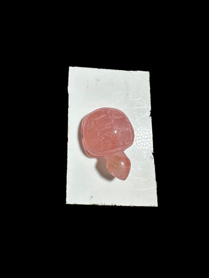 Lisa Bernstein  10-18 2025 lilibb