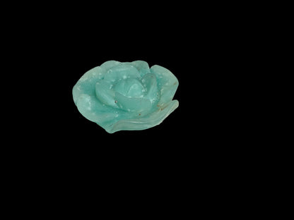 Lisa Bernstein  10-18 2025 lilibb