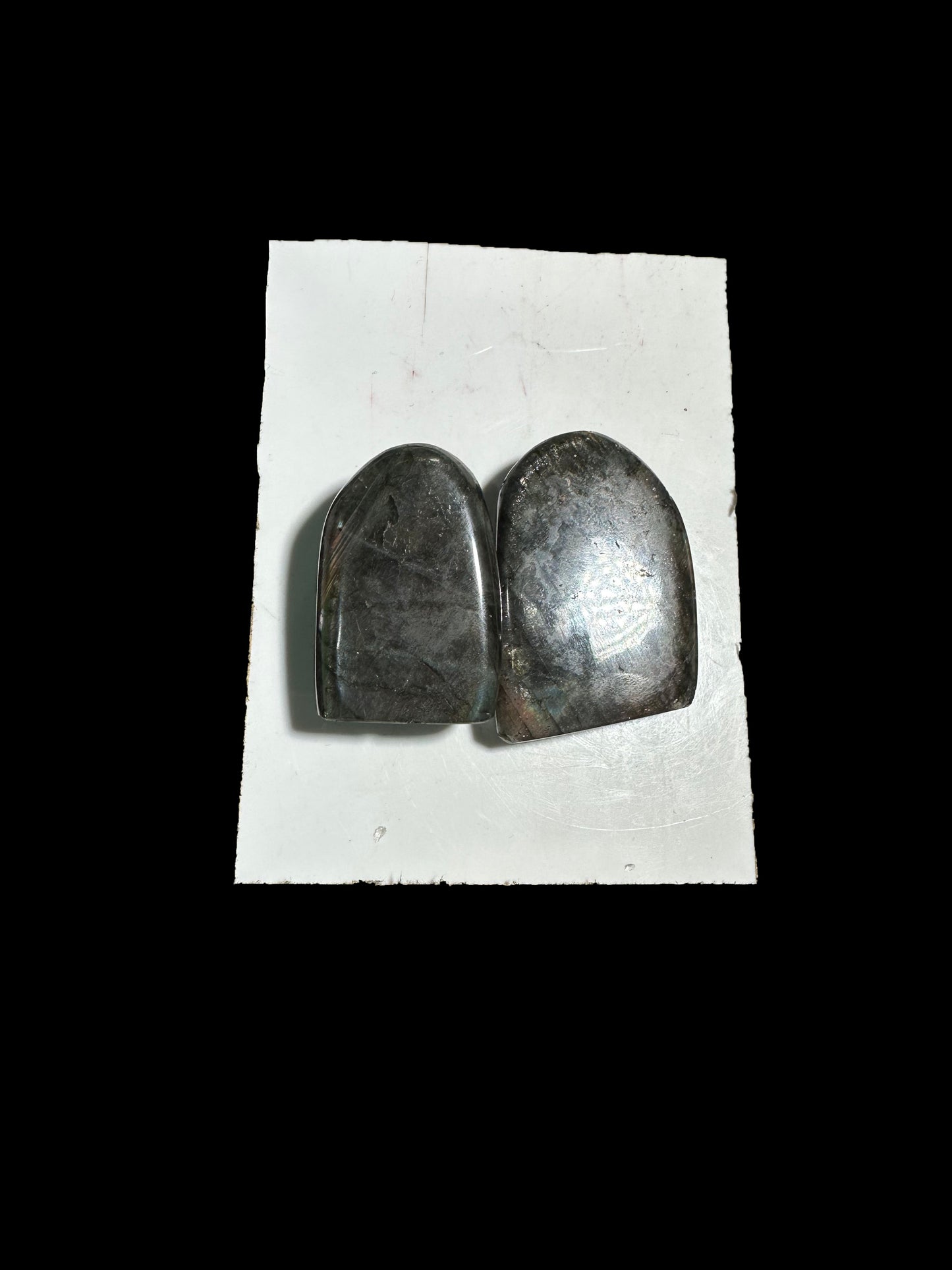 Lisa Bernstein  10-18 2025 lilibb