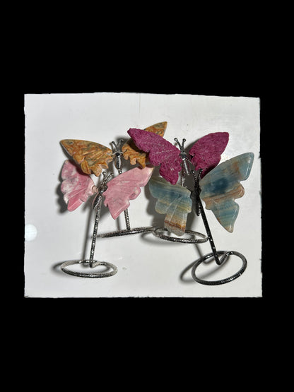 Lisa Bernstein  10-18 2025 lilibb