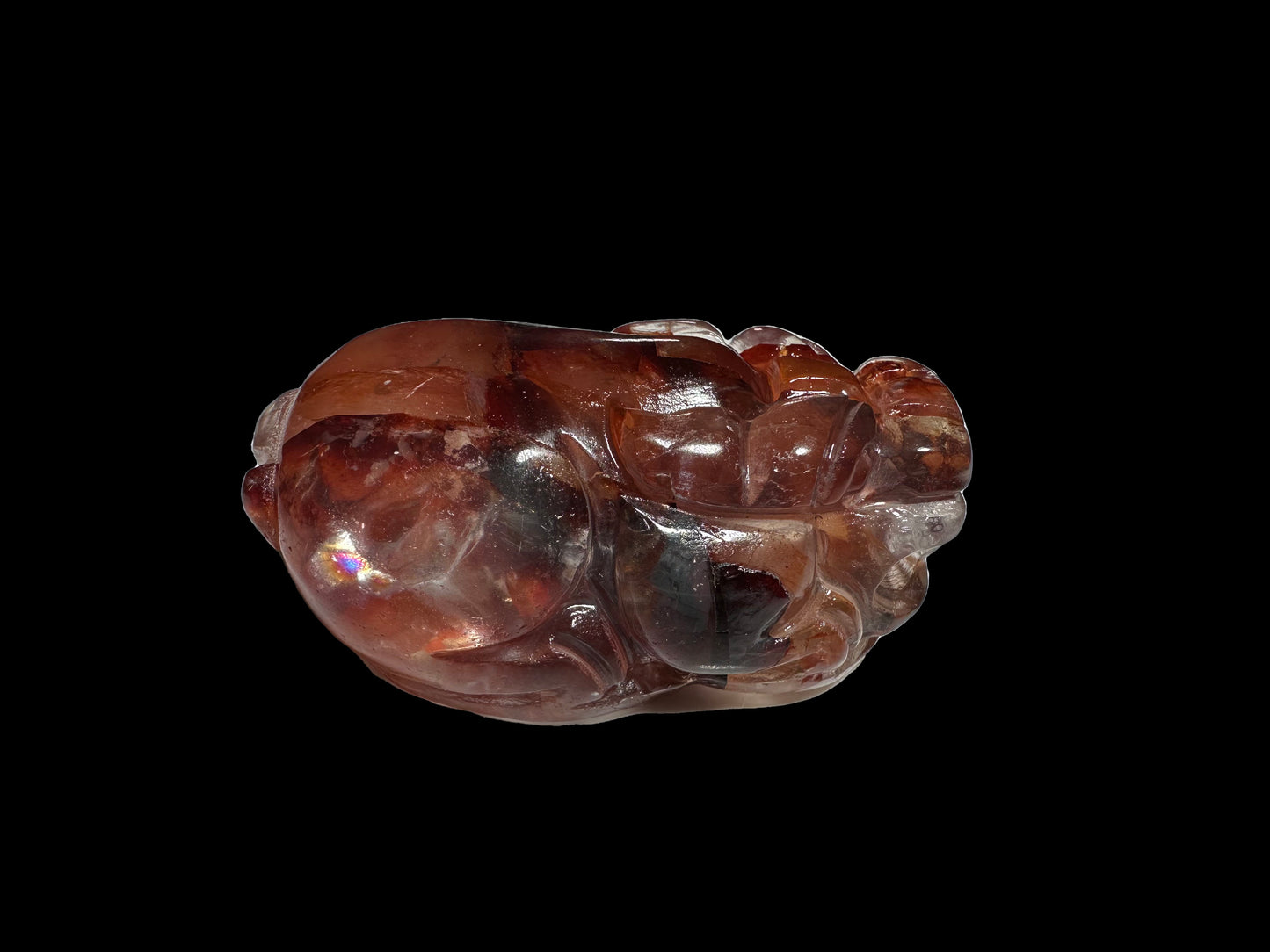 Lisa Bernstein  10-18 2025 lilibb