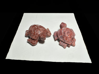 Lisa Bernstein  5-30 2025 lilibb