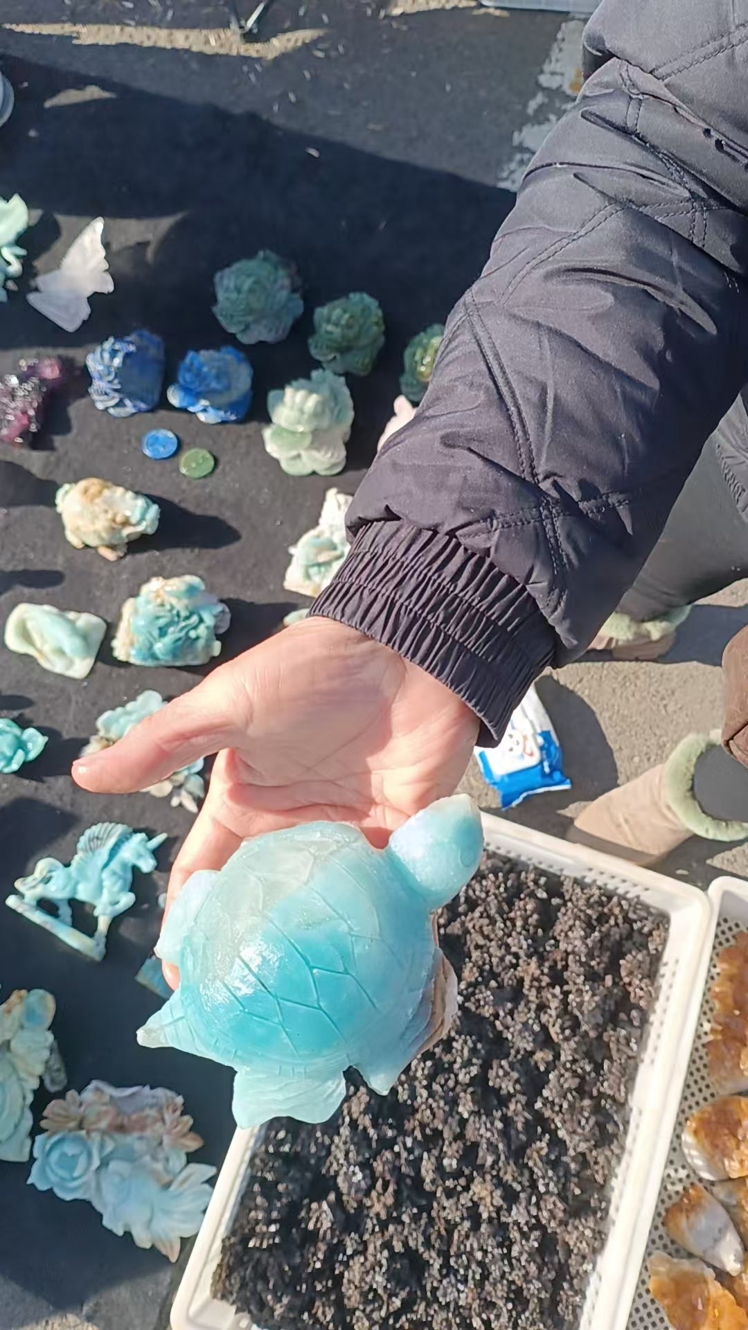 Lisa Bernstein  10-18 2025 lilibb