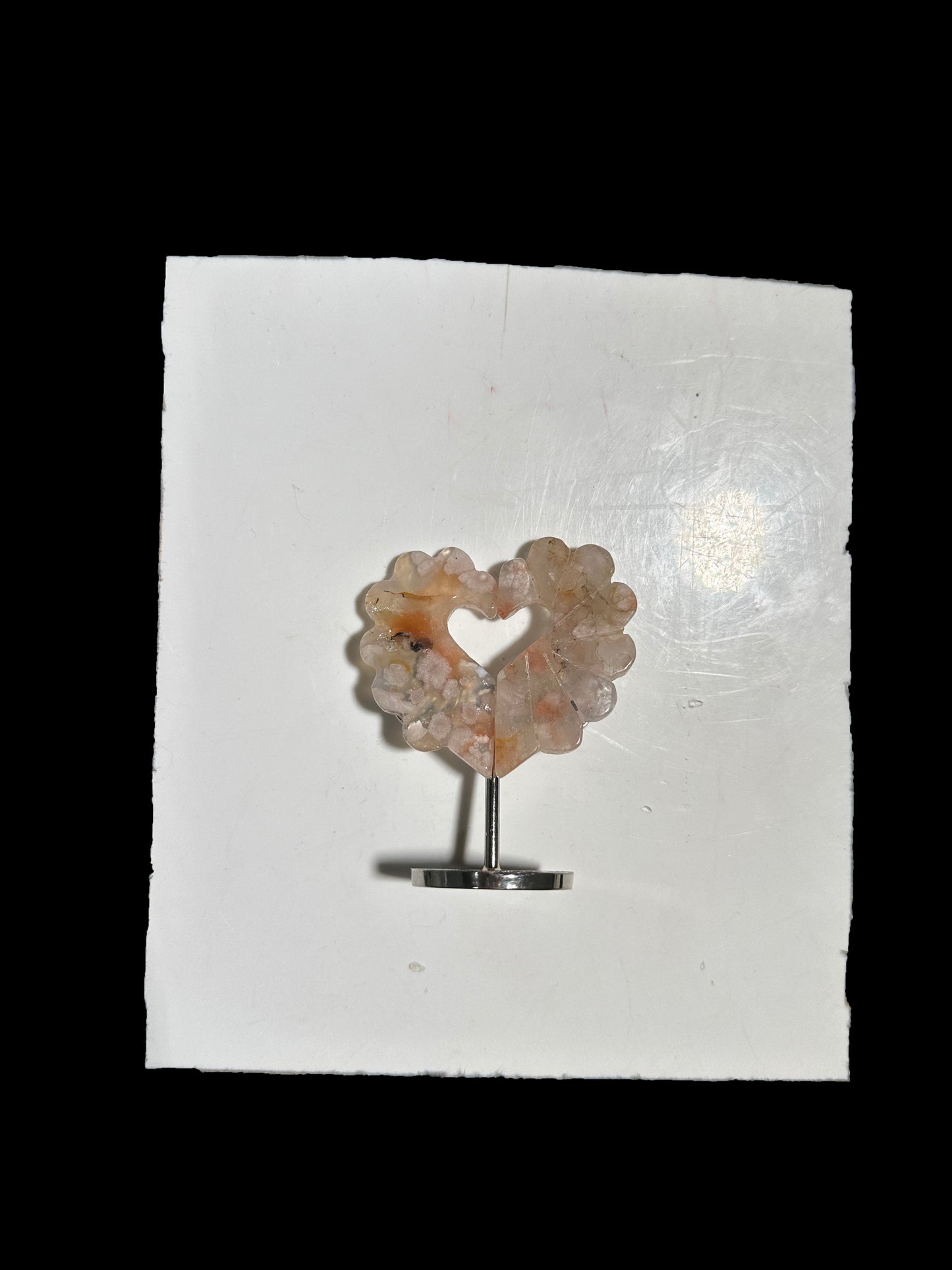 Lisa Bernstein  10-18 2025 lilibb