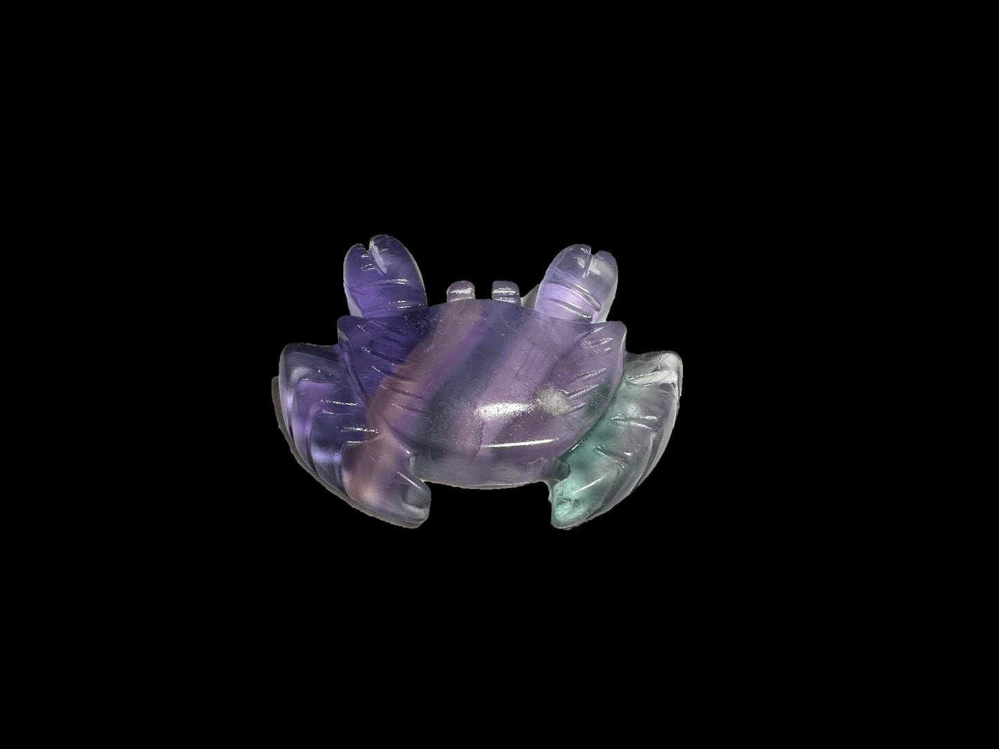 Lisa Bernstein  10-18 2025 lilibb