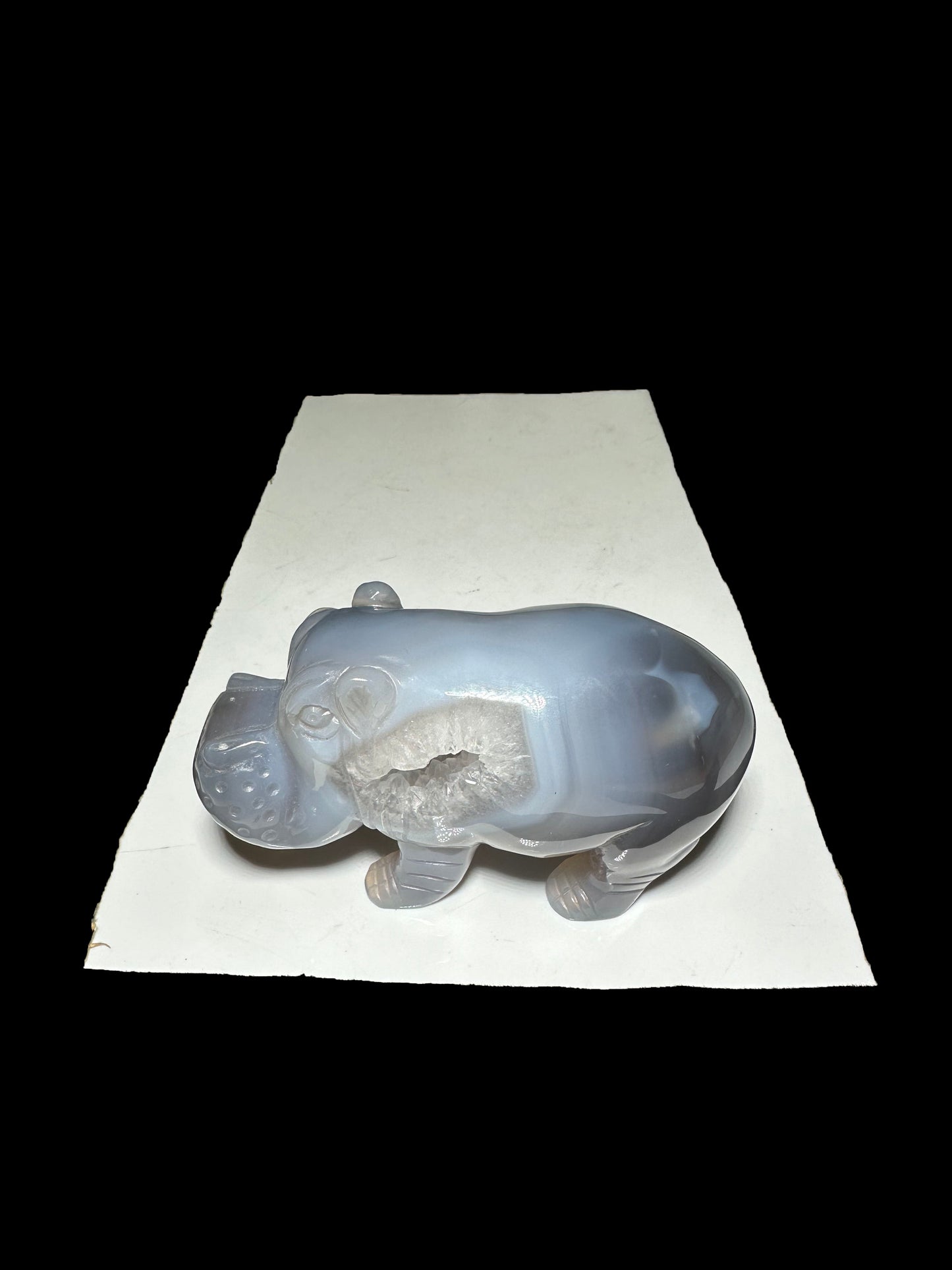 Morgan  mm  12-23（packing）