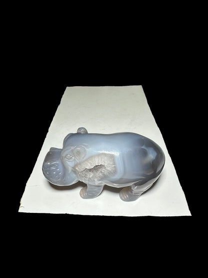 Morgan  mm  12-23（packing）