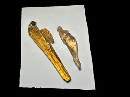 Sheilah Kue 10-25-2025